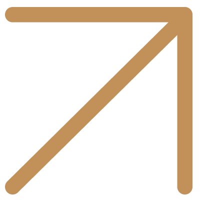 Link Arrow